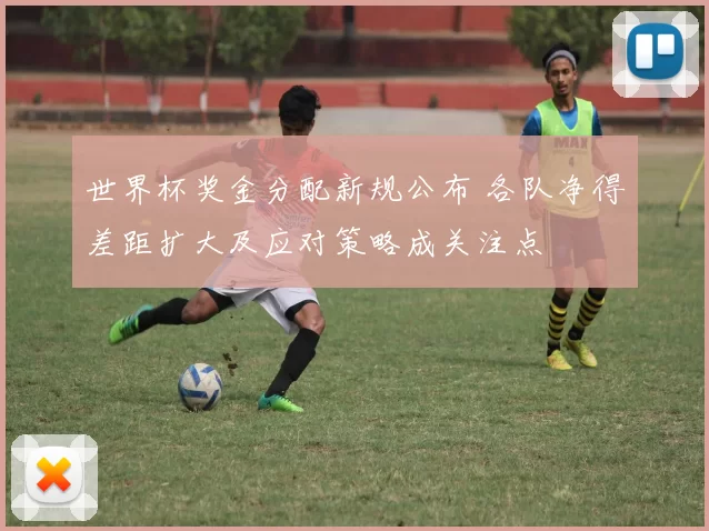 世界杯奖金分配新规公布 各队净得差距扩大及应对策略成关注点