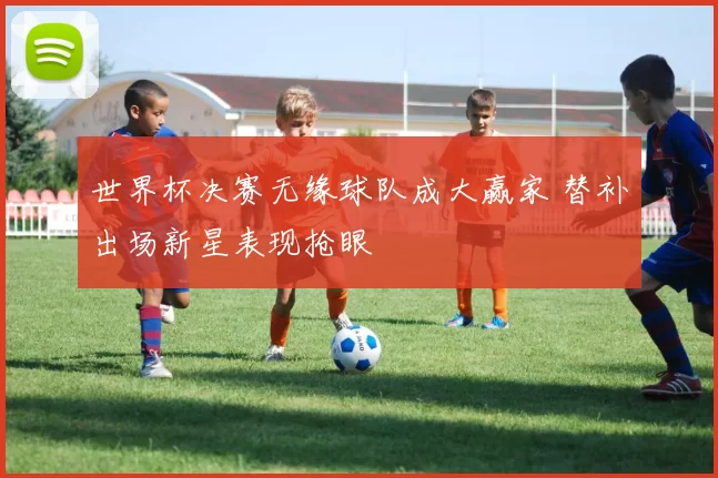 世界杯决赛无缘球队成大赢家 替补出场新星表现抢眼