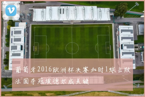 葡萄牙2016欧洲杯决赛加时1球击败法国夺冠埃德尔成关键