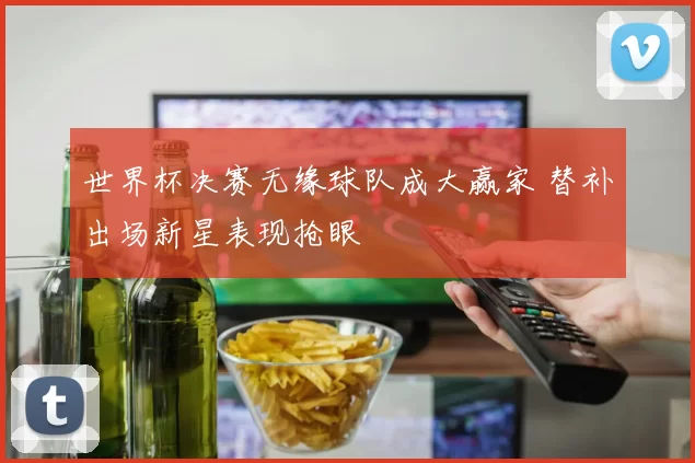 世界杯决赛无缘球队成大赢家 替补出场新星表现抢眼