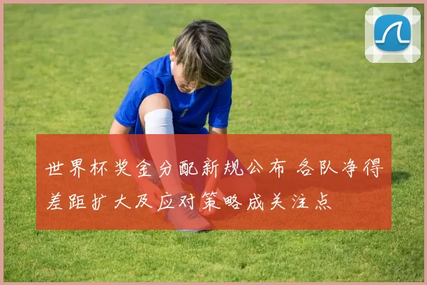 世界杯奖金分配新规公布 各队净得差距扩大及应对策略成关注点